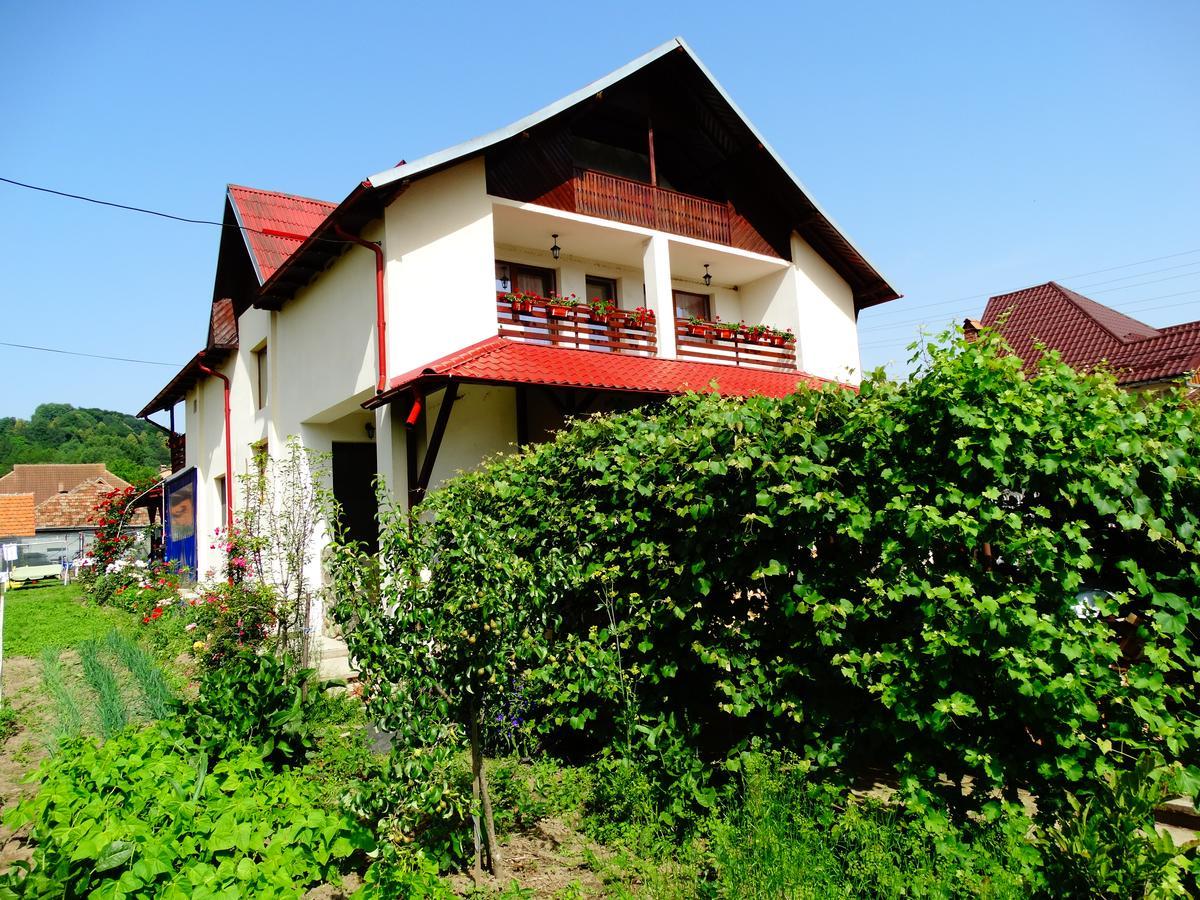 Pensiunea Casa Elena Corbeni Exterior foto
